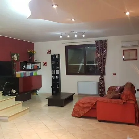 Trigona * Solarino