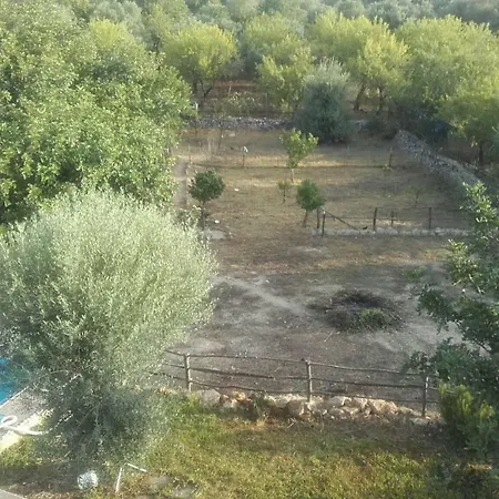 Trigona Solarino